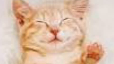 Test 17