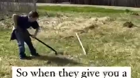 Homesteading for kids