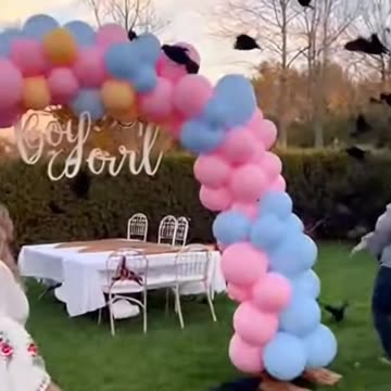 Black Bird Party Crash