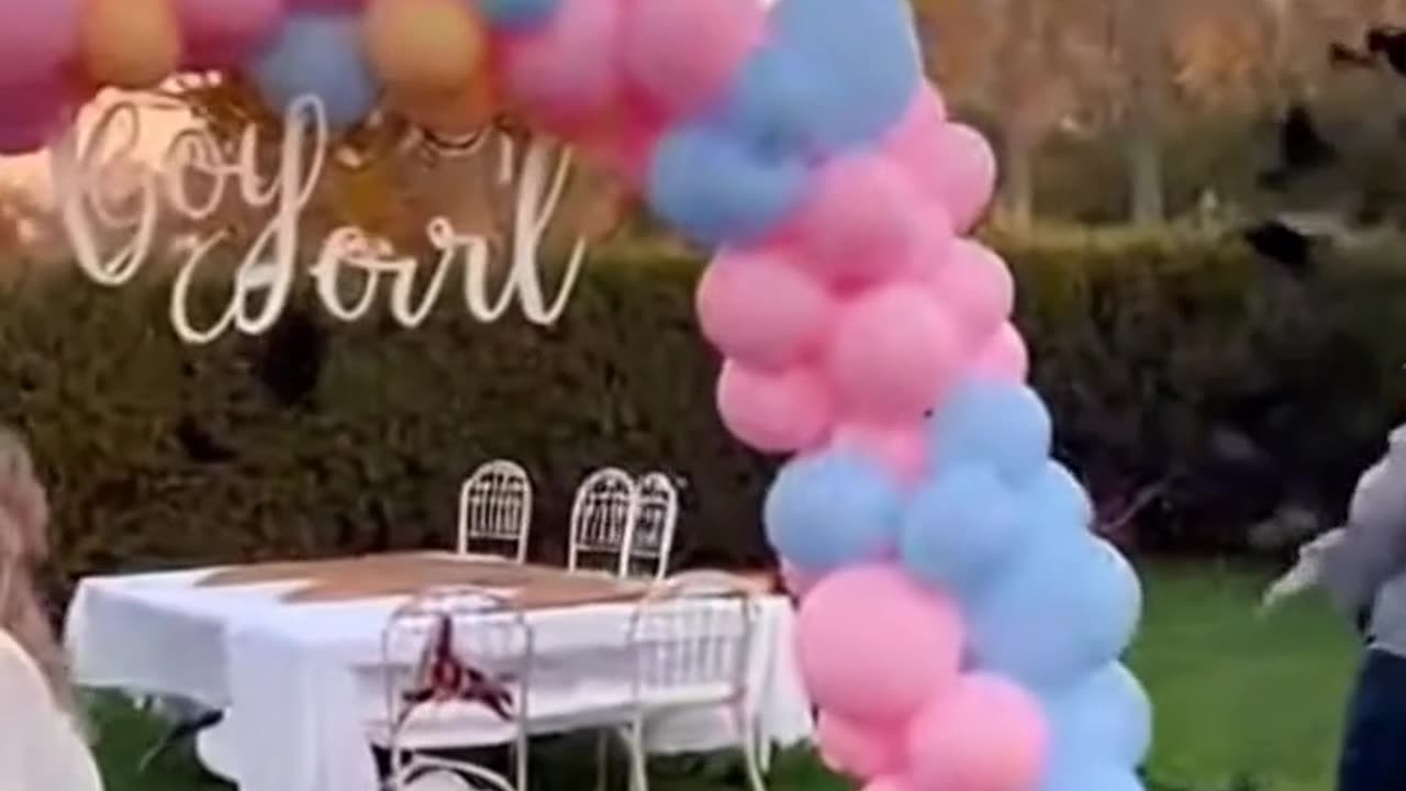 Black Bird Party Crash