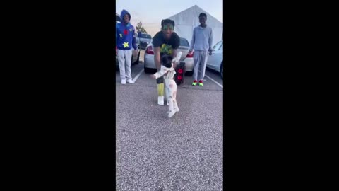 They Teach Them Young (shame)