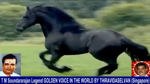 Old Is Gold (evergreen) T M Soundararajan Legend Vol 235 Horse Song 8