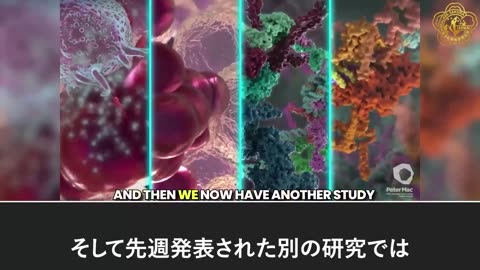 mRNA新型コロナワクチンが引き起こす連鎖的損傷を解説：遺伝子異常 → タンパク質の欠陥 → 生化学的ストレス → 本格的な臨床的転帰