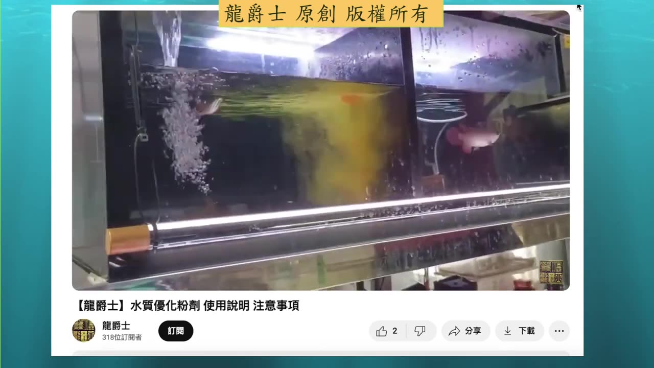 【龍爵士】千問千答 Q189 添加蝦紅素三小時後，水呈現霧霧的是正常現象嗎