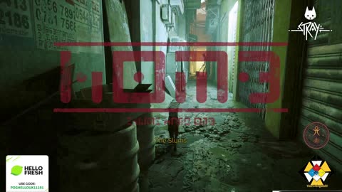 STRAY ᕈS5 🎮 : PART ONE