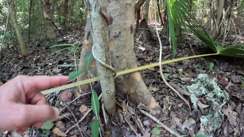 Our family Thanksgiving trip to the Florida Keys!