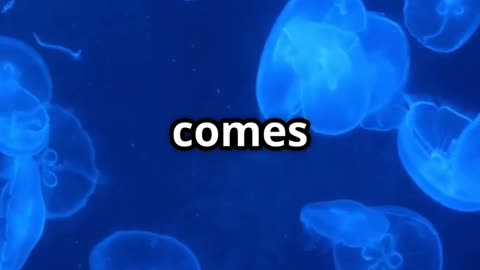 How Jellyfish Sense & Navigate Without a Brain 🪼🌊 | Nature’s Mystery