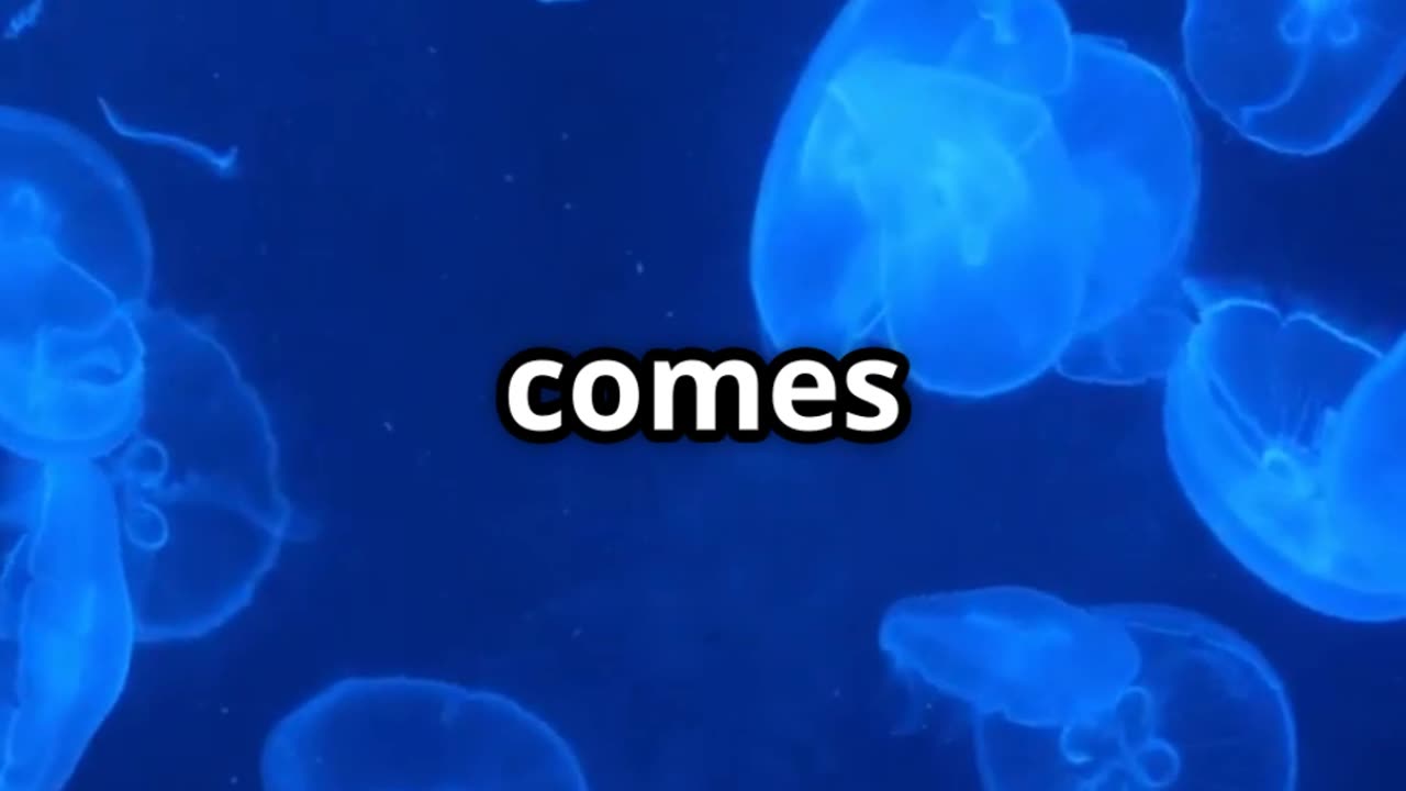 How Jellyfish Sense & Navigate Without a Brain 🪼🌊 | Nature’s Mystery