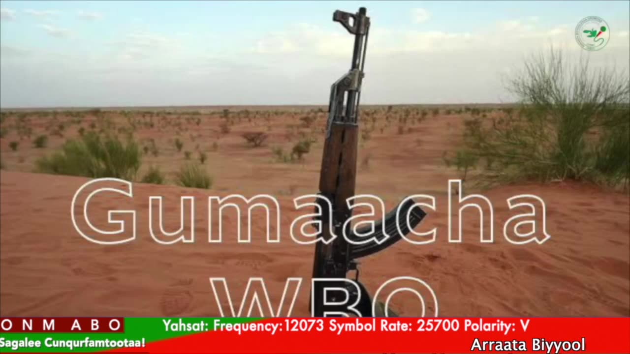 Gabaasa Gumaacha ONM-ABO Caamsaa 6-2025 itti dhiyaadhaa!