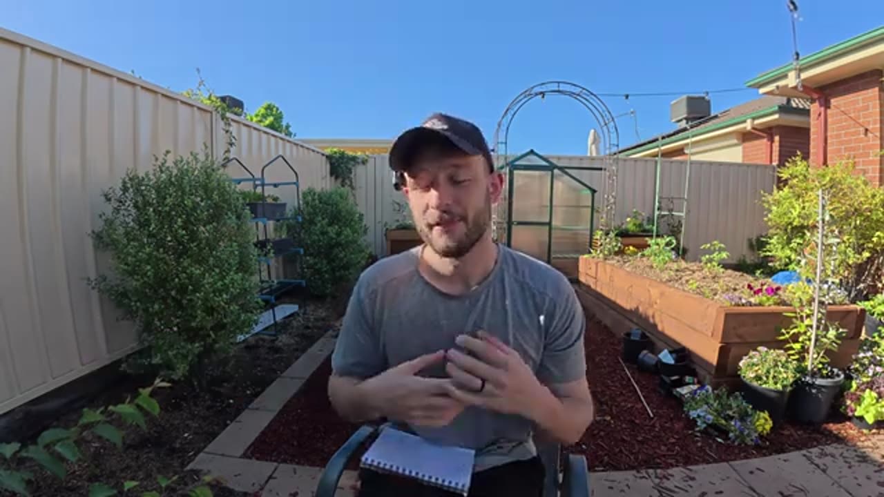 Holistic excercise routine in 15 minutes