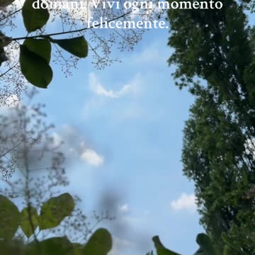 Non sappiamo cosa succederà domani. Vivi ogni momento felicemente.