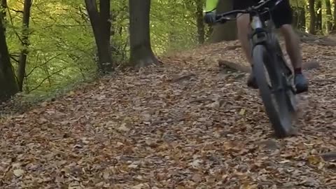 Mountain Bicycle