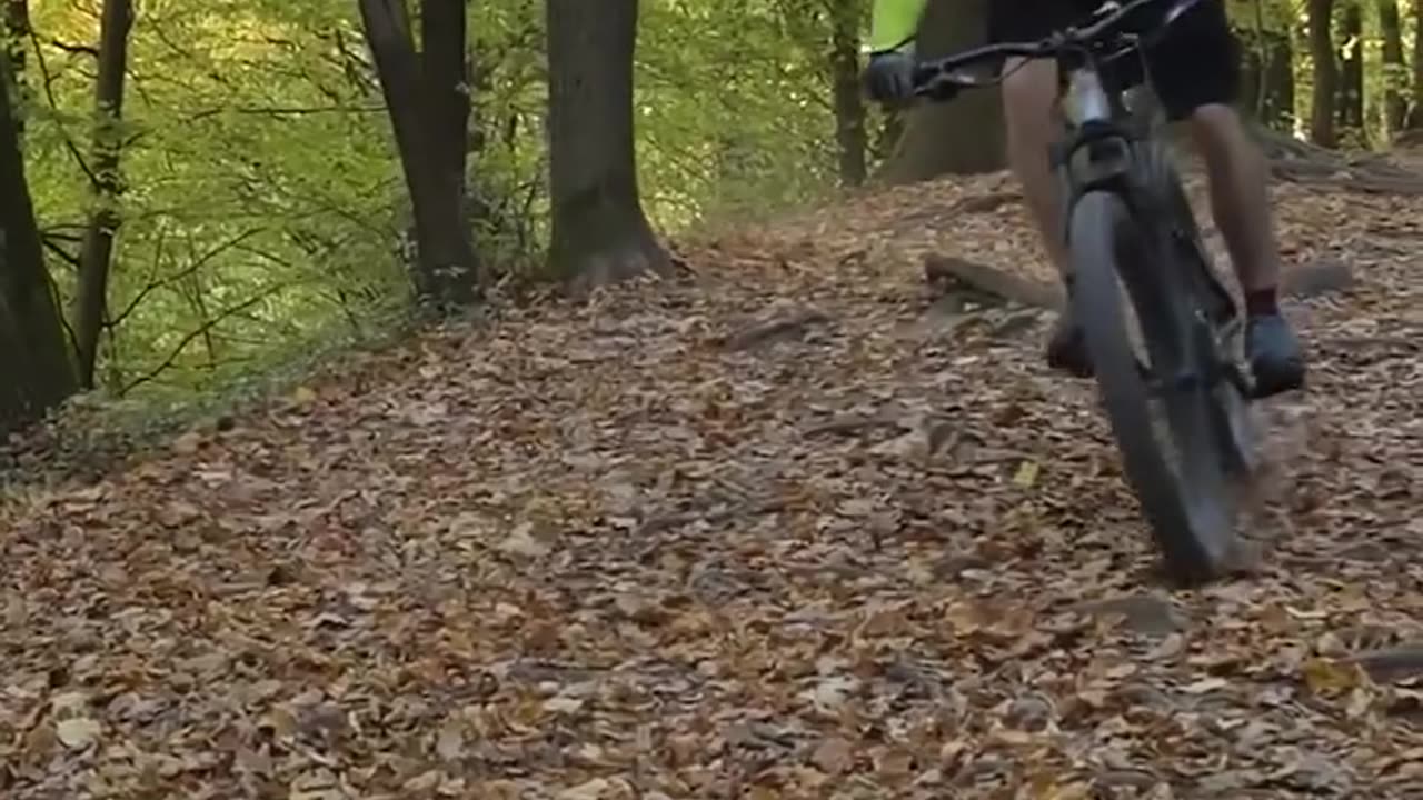 Mountain Bicycle