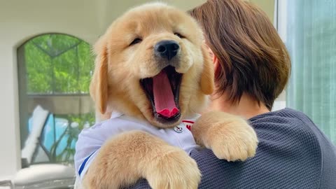 🐶🎉 “Brand-New Funny Puppies 2025 – You Won’t Stop Laughing!