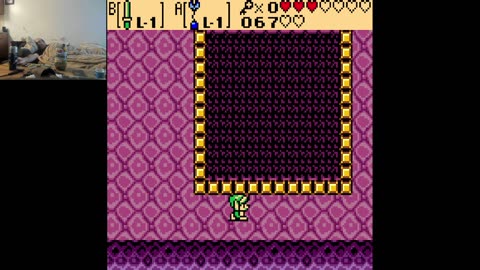 THE Legend of THE ZZEELLDDAAHH THE Underage Oral (THE Colored Gameboy)