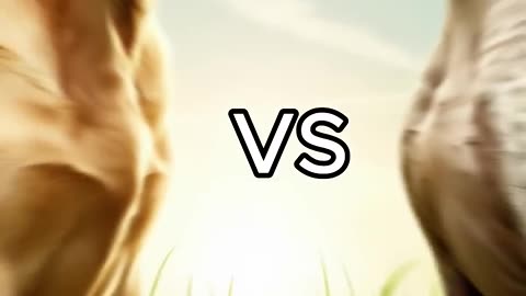 Rottweiler Puppy vs Pitbull puppy ( German Shepherd, Husky, Doberman, labrador retriever, Pointer).
