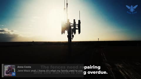 Li, the Peopel's Pharmacist & THE ECONOMIC ARK FIELD FRAMEWORK (2025–2026)