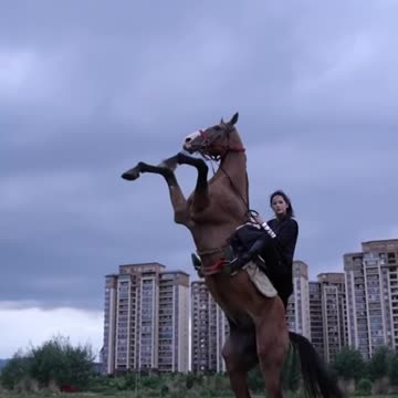 horses #horse #horsegirl #horseenthusiast #equestrian #horsemanship #horsefan