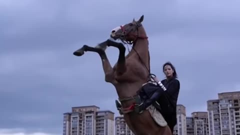 horses #horse #horsegirl #horseenthusiast #equestrian #horsemanship #horsefan