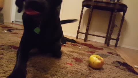 Riley's Apple