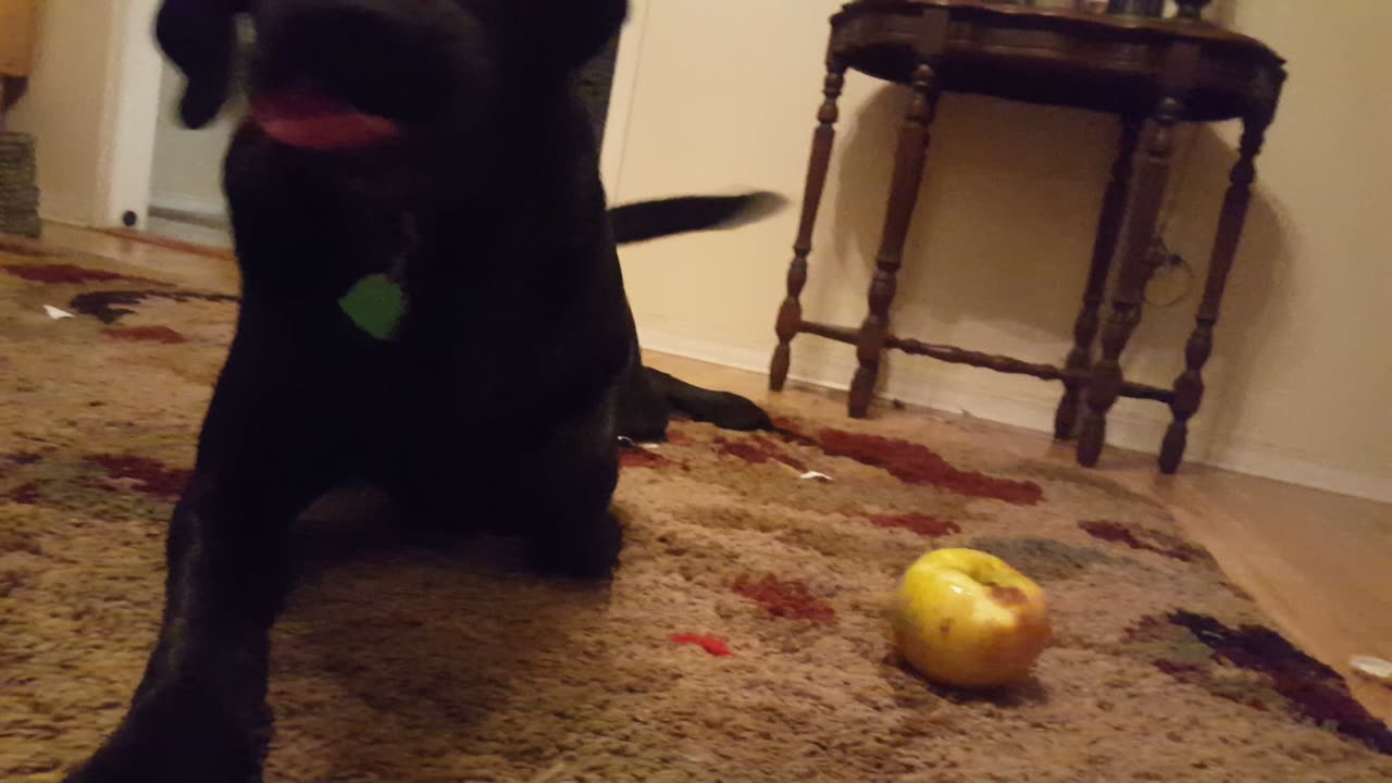 Riley's Apple