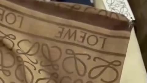 Statement Teal Bow Bags