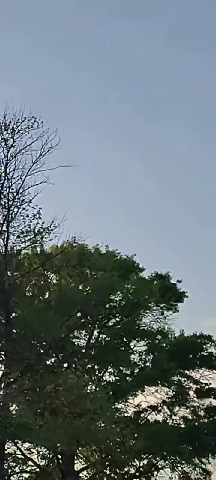 What is in the sky!!?