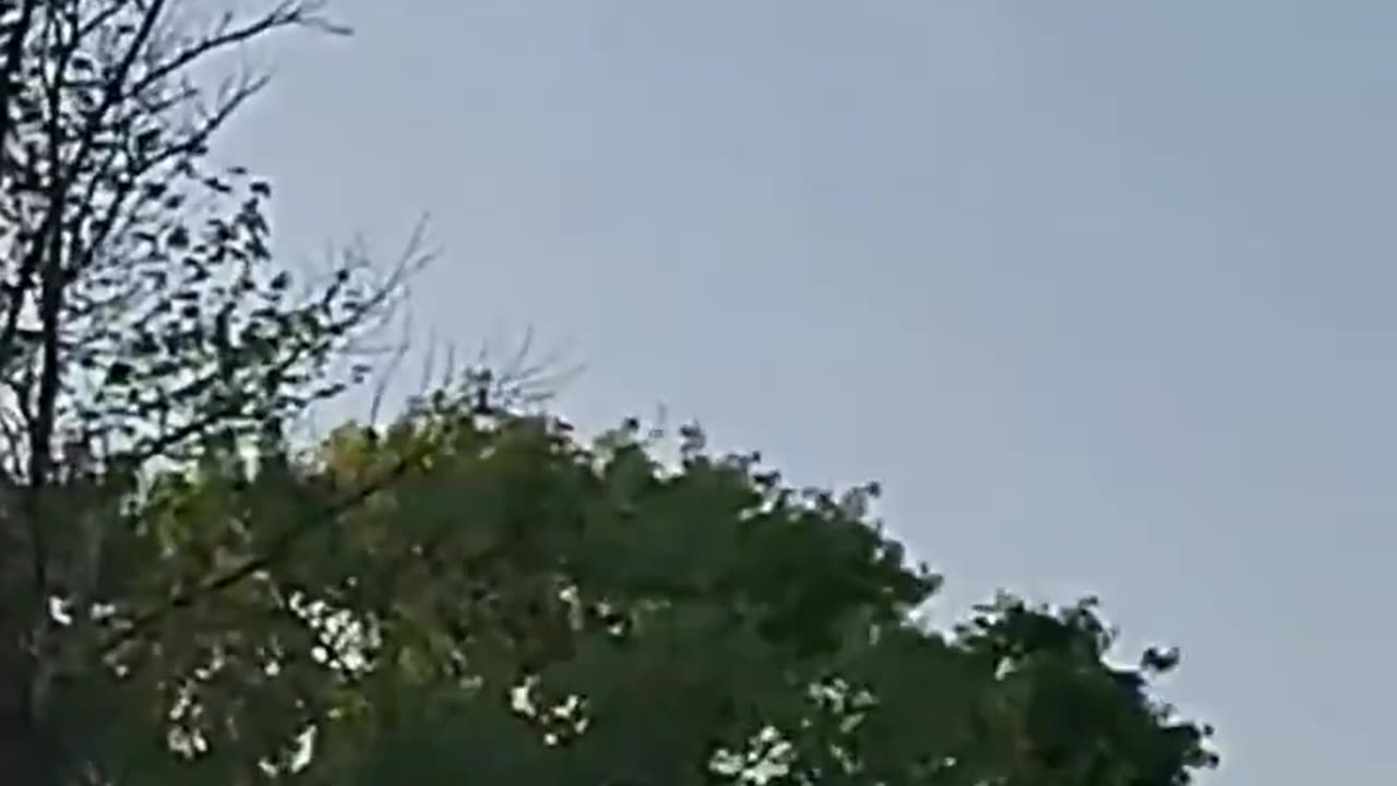 What is in the sky!!?