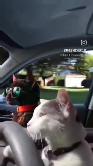 Buy a lottery ticket before you get the next 6-pack !