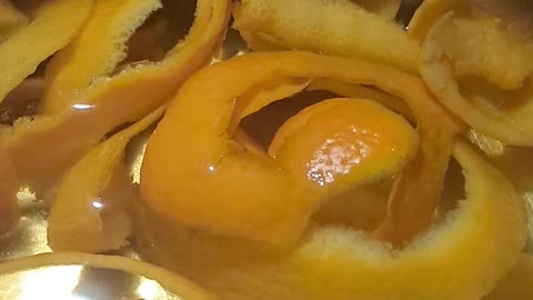 Orange Peel on The Rocks
