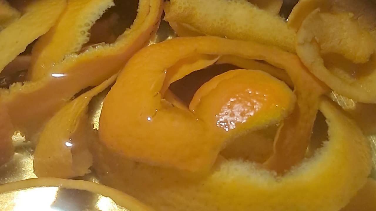 Orange Peel on The Rocks