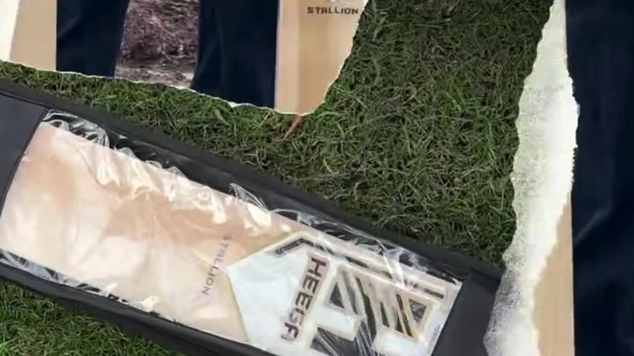 Heega Stallion Premium Cricket Bat