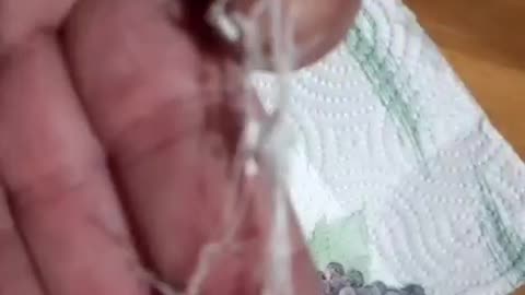 filamenti7