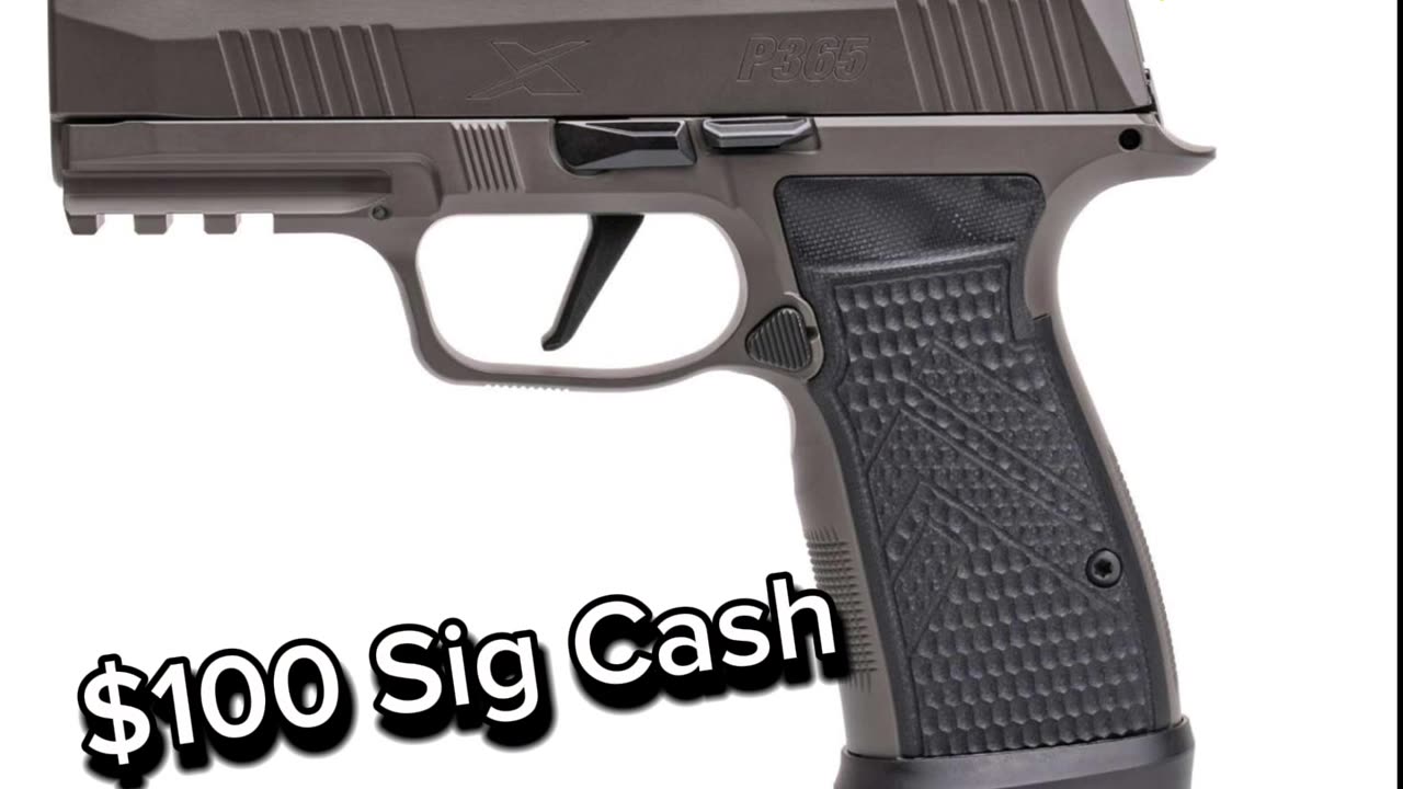 P365 Rebate Happening NOW!