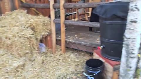 Propane Box Good For -30 or More #offgrid