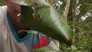 🐜🐜🐜 Ants Ants Ants - Watch Them Conquer! | FunFM