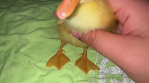 POP OUT AT 1 IN THE MORNING