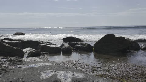 Sunny Shore Hangout Warm Summer Day Gulls and Waves STILL VIEW 4k 60fps #ocean #pacific #zen