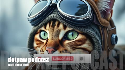 dotpaw podcast - good men do nothing