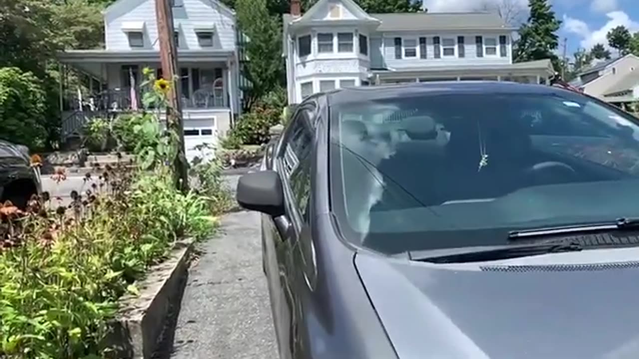 Filling Joints With Polymeric Sand _ Weed And Grass Removal (1).mp4