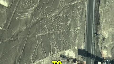 Guess what scientists from the University of Dresden discovered concerning the Nazca Lines?