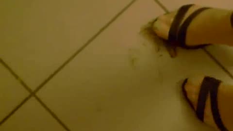 Taking Care of a Bug