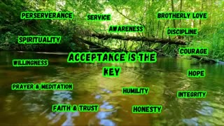 Today's Journey with Rasta Rhino