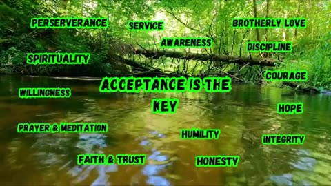 Today's Journey with Rasta Rhino