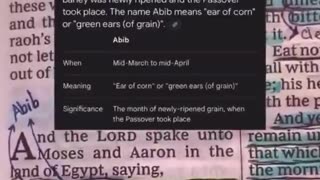 Why It Truly Begins in April, Not January