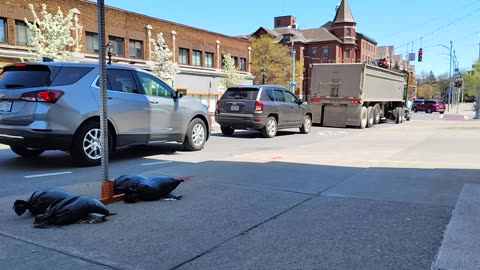 A GREAT PLACE TO SPLATTER YOUR BRAINS