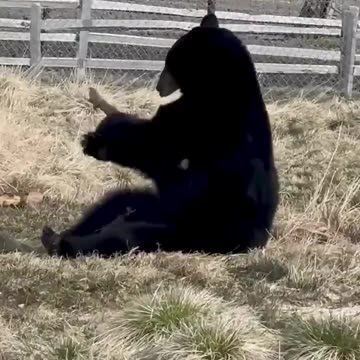 Everybody is Kung Fu fighting.. 😅