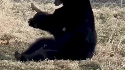 Everybody is Kung Fu fighting.. 😅
