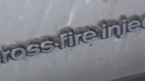 Corvette First Wash in 42 Years !
