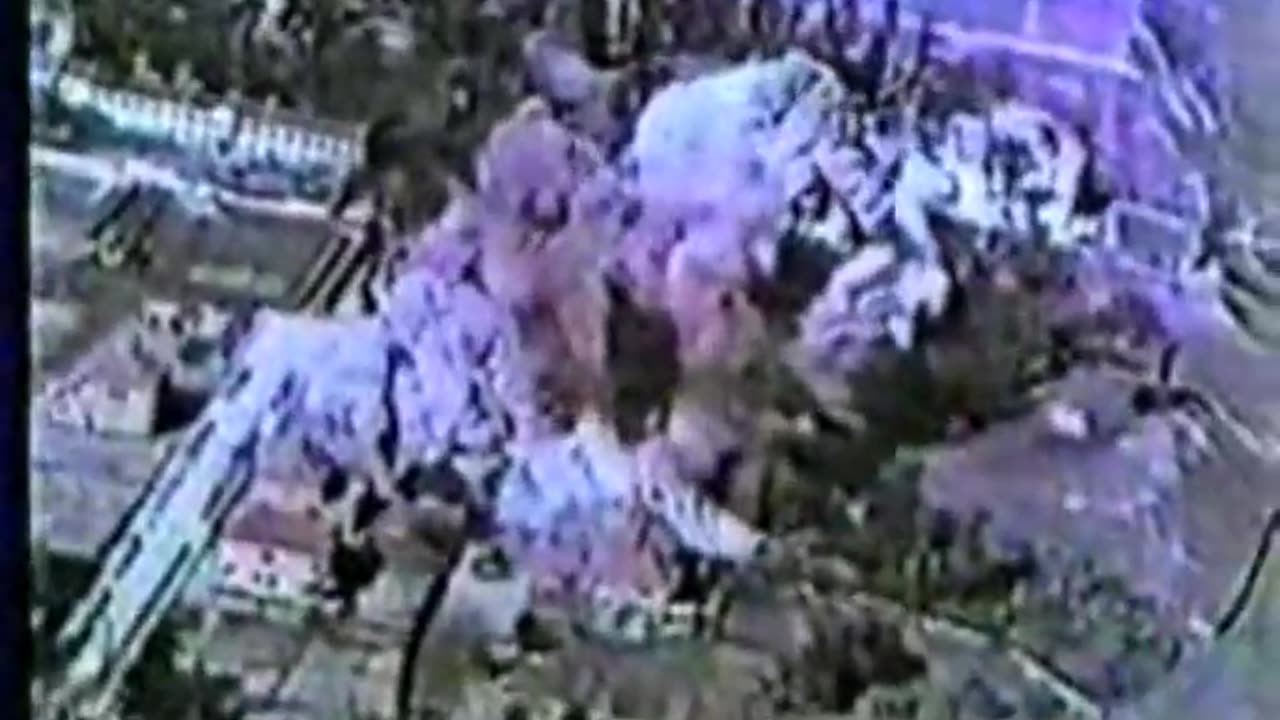 1944 Stukas Bombing a Village on the Eastern Front